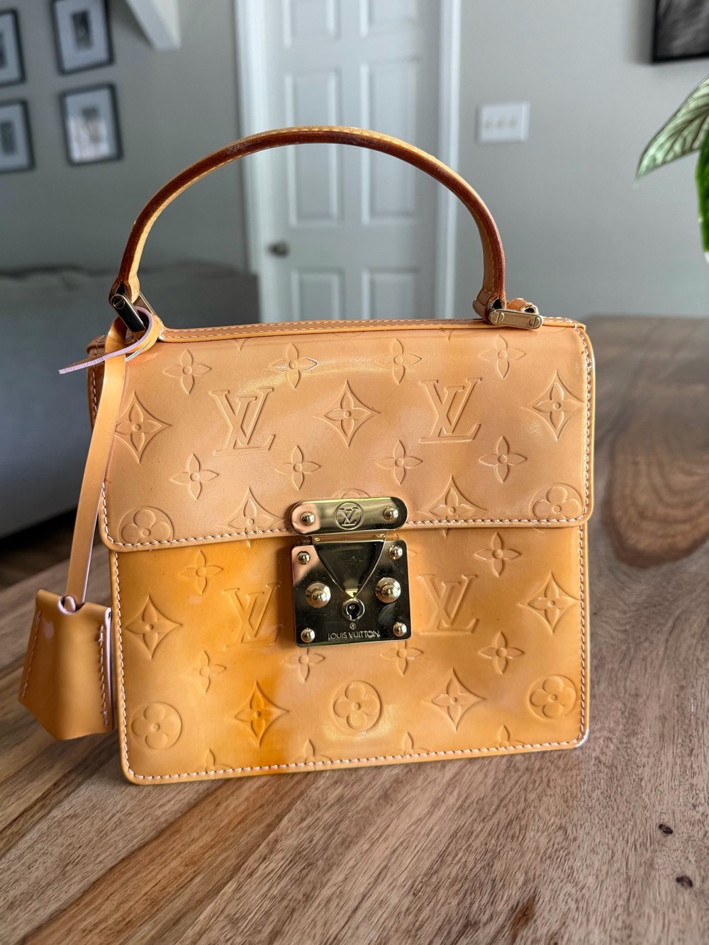 Louis Vuitton Monogram Spring Street